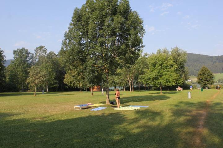 זל אם מוס Wunderschoene Ferienwohnung Mit Seeblick מראה חיצוני תמונה