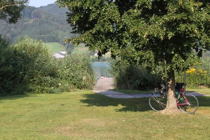 זל אם מוס Wunderschoene Ferienwohnung Mit Seeblick מראה חיצוני תמונה