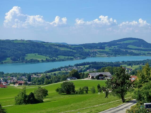 זל אם מוס Wunderschoene Ferienwohnung Mit Seeblick מראה חיצוני תמונה